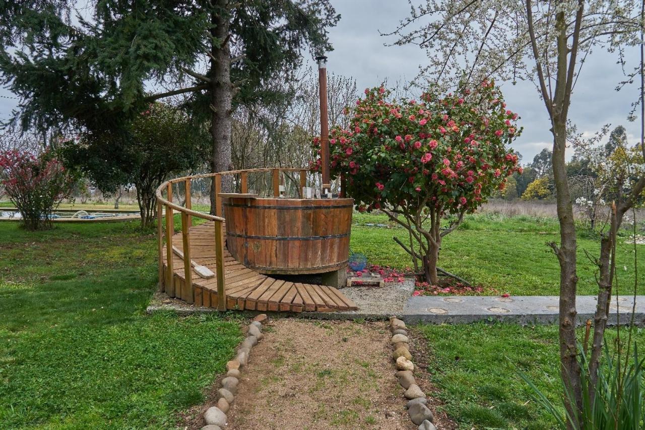 La Casa De Adobe Natural Y Mas Bulnes Extérieur photo
