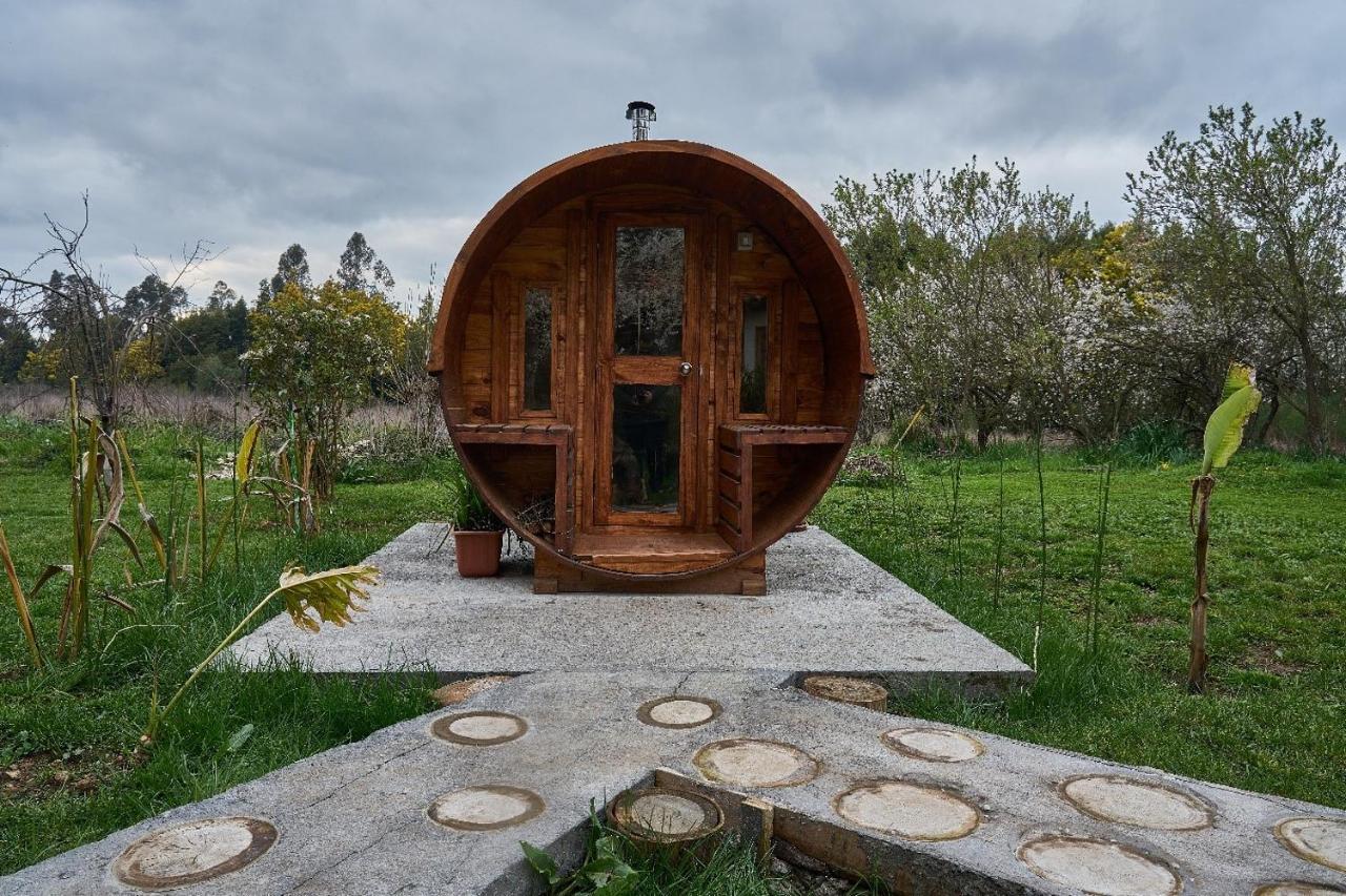 La Casa De Adobe Natural Y Mas Bulnes Extérieur photo
