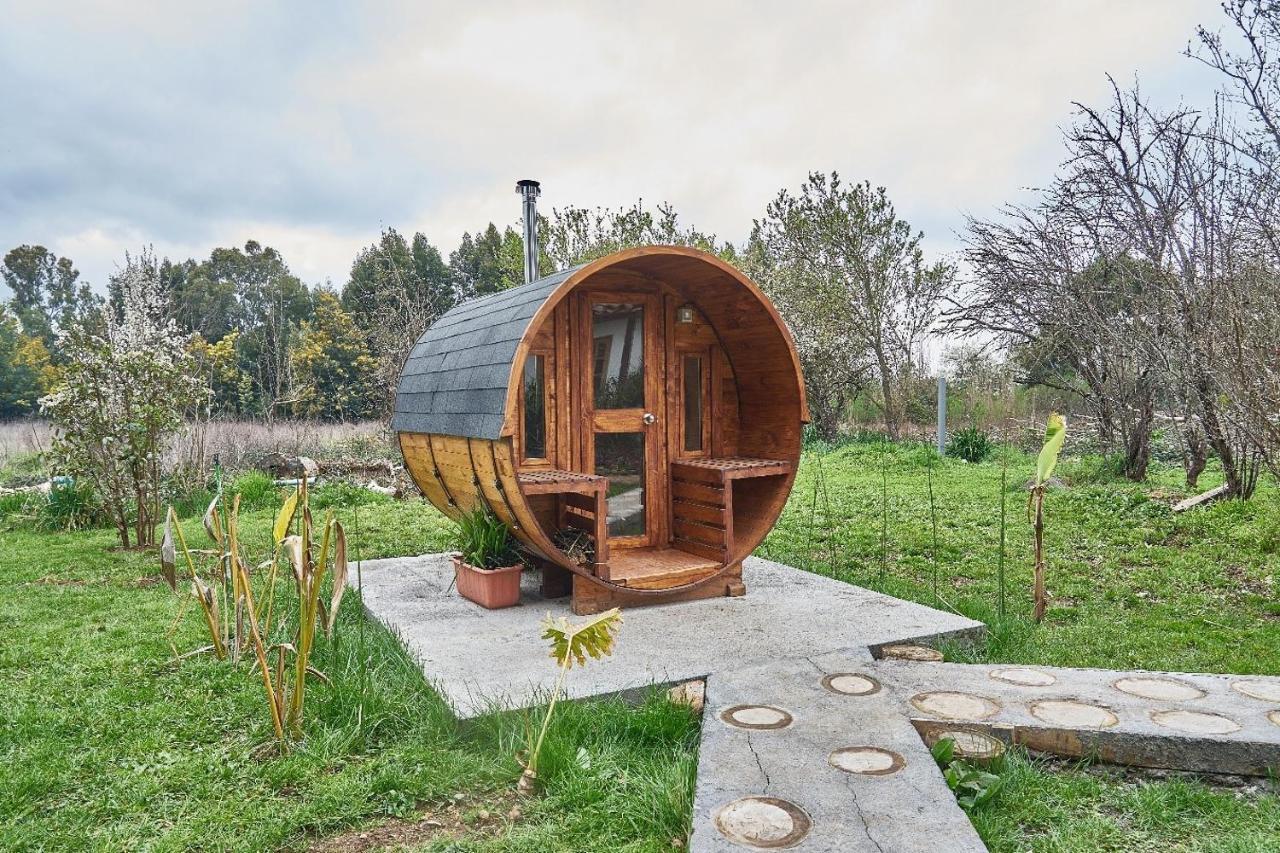 La Casa De Adobe Natural Y Mas Bulnes Extérieur photo
